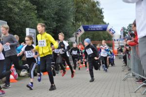 Dümmerlauf088 (1)