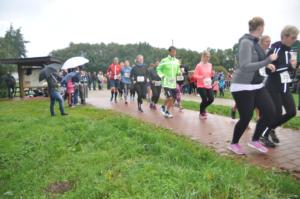 Dümmerlauf093 (1)